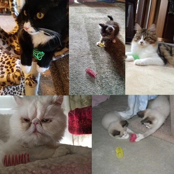 Kitten Coil Spiral Springs Cat Toys Interactive Gauge Cat Spring Toy Colorful Springs Cat Pet Toy Pet Products